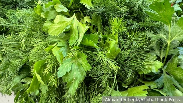 Юрист объяснила, как законно продавать овощи и фрукты с личного участка