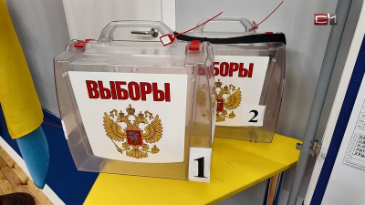 Голос с другого конца света: как 160 россиян в Чили переписали географию выборов в Госдуму