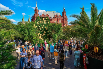 Wildberries не планирует покупать авиакомпанию Azur Air &mdash; слухи опровергнуты