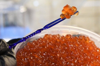 Кабмин ввел ограничения на вывоз икры авиатранспортом из Хабаровского края и Чукотки