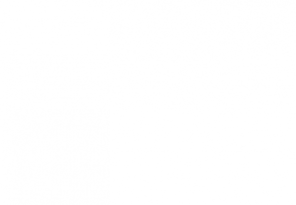 Жизнь и карьера Натальи Бочкарёвой: от театра до телевидения