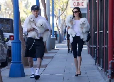 Бруклин Бекхэм и Никола Пельтц прогуливают собак после визита к грумеру в Беверли-Хиллз