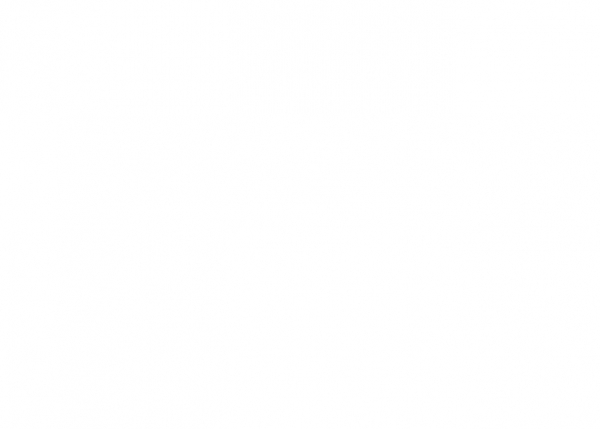 Трамп заявил, что США снизят пошлины в ответ на сокращение Индией импорта российской нефти