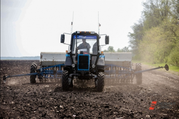 Южным регионам России выделены дополнительные средства для борьбы с последствиями засухи