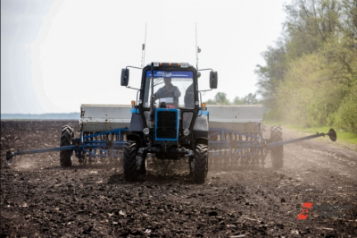 Южным регионам России выделены дополнительные средства для борьбы с последствиями засухи