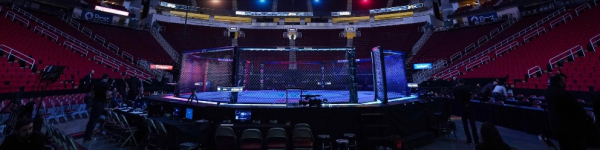 Уайт открыл возможность матча между бойцами России и США в UFC